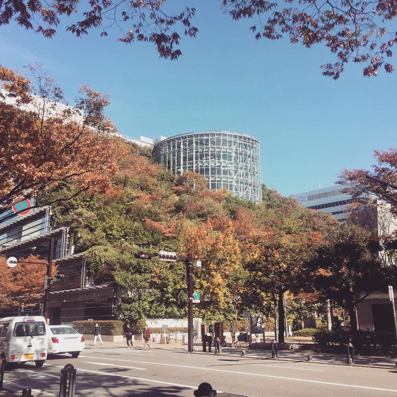 Giappone: compie 25 anni Acros Fukuoka, antenato del Bosco Verticale di Milano