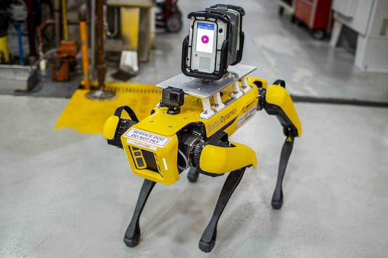 Negli stabilimenti Ford arrivano i robot a quattro zampe Negli stabilimenti Ford arrivano i robot a quattro zampe