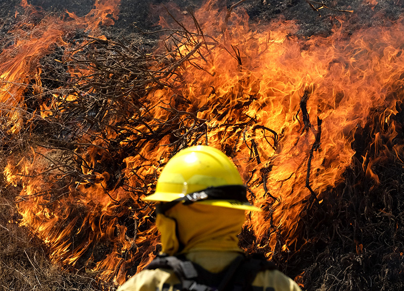 California, vasto incendio a est di LA: 8000 persone evacuate California, vasto incendio a est di LA: 8000 persone evacuate