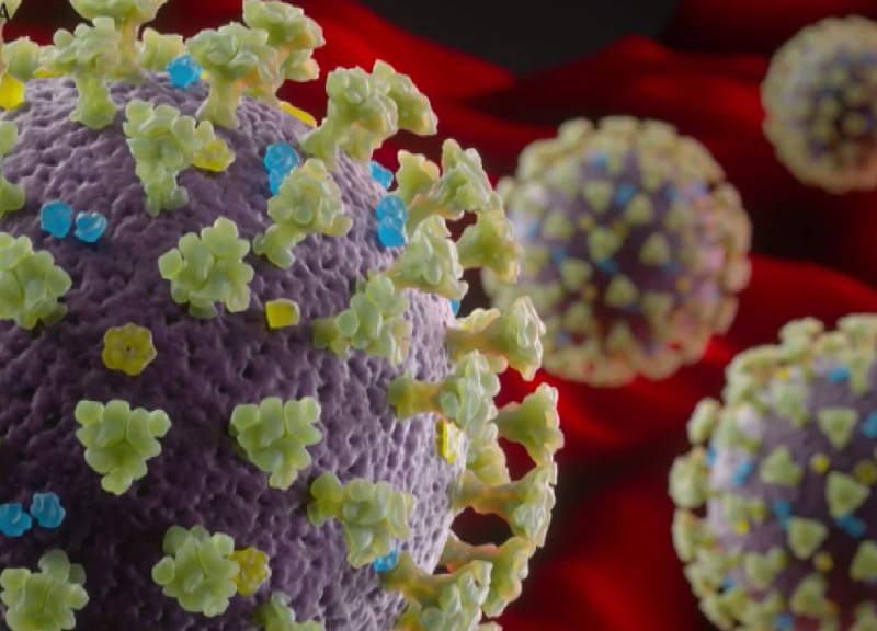 Coronavirus, un virus razzista che colpisce in USA molti più neri e latini Coronavirus, un virus razzista che colpisce in USA molti più neri e latini