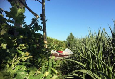 Caduto ultraleggero a Marina di Modica, nel Ragusano