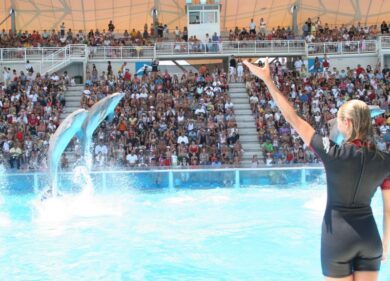 Assembramenti e niente mascherine: Zoomarine chiuso per 5 giorni dal Comune