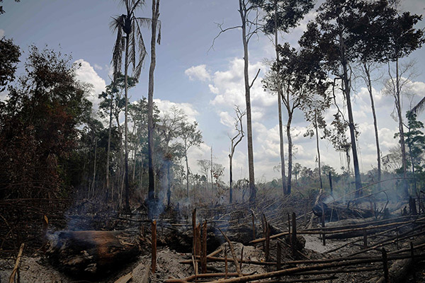 Coronavirus, Amazzonia: gli incendi avvelenano l’aria Coronavirus, Amazzonia: gli incendi avvelenano l’aria