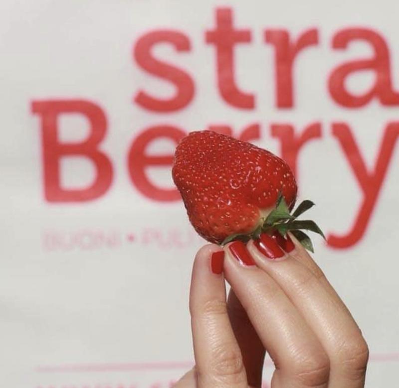 Galleria foto 'Ecco le carte della vergogna chic. Le fragole schiave di StraBerry' - foto 1