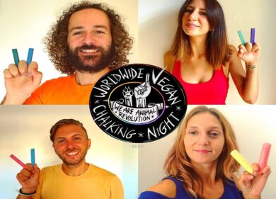 Milano, in piazza Castello la “notte vegan dei gessetti”. VIDEO