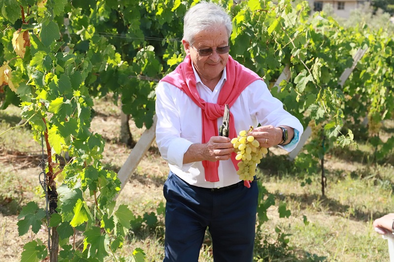 Ecoturismo, il Sannio si candida a diventare capitale europea del verde Ecoturismo, il Sannio si candida a diventare capitale europea del verde