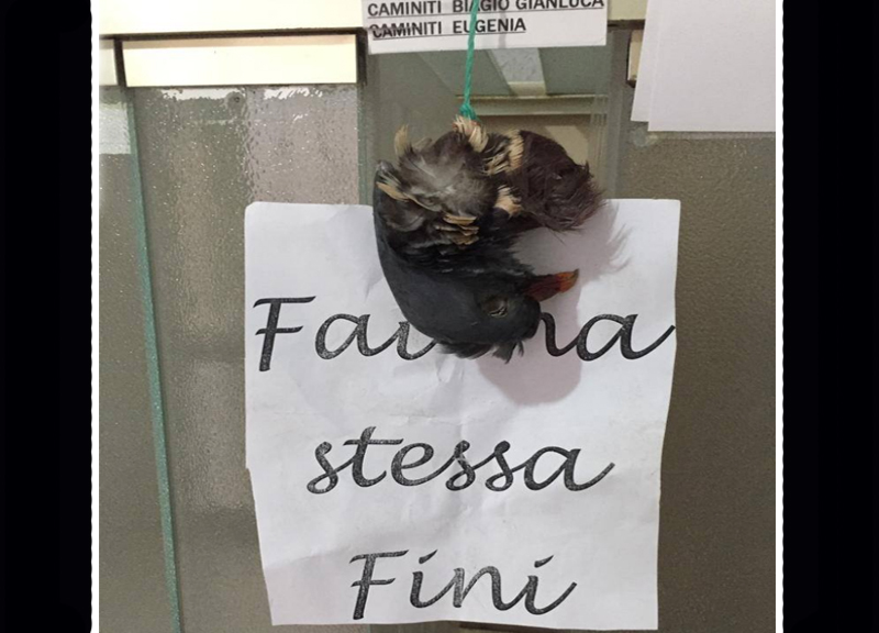 Galleria foto 'Testimone antindrangheta. “Mi devono uccidere e nessuno fa niente”' - foto 1
