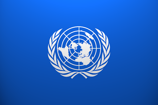 Diritti umani, Cina e Russia elette nel Consiglio Onu. Critiche dalle Ong Diritti umani, Cina e Russia elette nel Consiglio Onu. Critiche dalle Ong