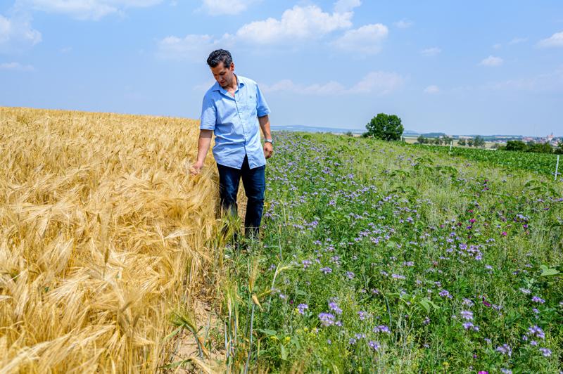 Galleria foto 'Intervista a Condon (Bayer): “Così combattiamo fame e cambiamenti climatici”' - foto 1