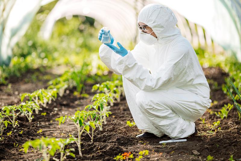A Lodi un hub di ricerca per coltivare il benessere dalla terra alla tavola A Lodi un hub di ricerca per coltivare il benessere dalla terra alla tavola