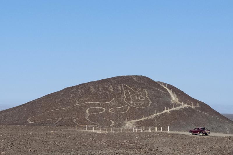 Perù linee di Nazca gatto Perù linee di Nazca gatto