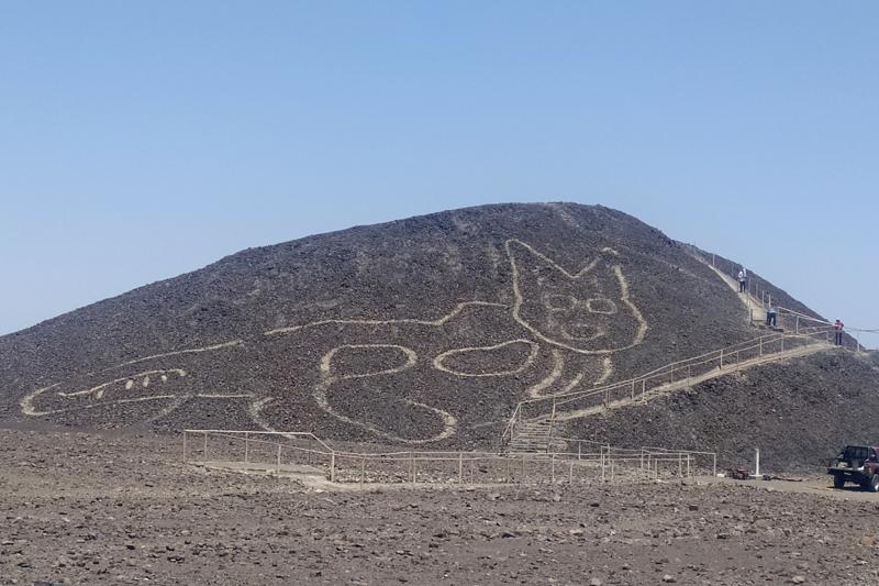 Galleria foto 'Perù, linee di Nazca: scoperto nuovo geoglifo, il disegno di un gatto a riposo' - foto 1