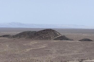 Perù, linee di Nazca: scoperto nuovo geoglifo, il disegno di un gatto a riposo