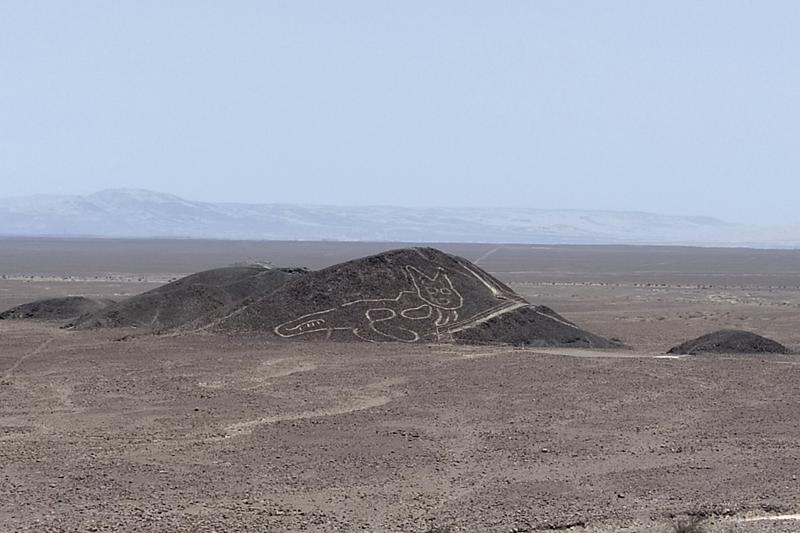Perù linee di Nazca gatto Perù linee di Nazca gatto