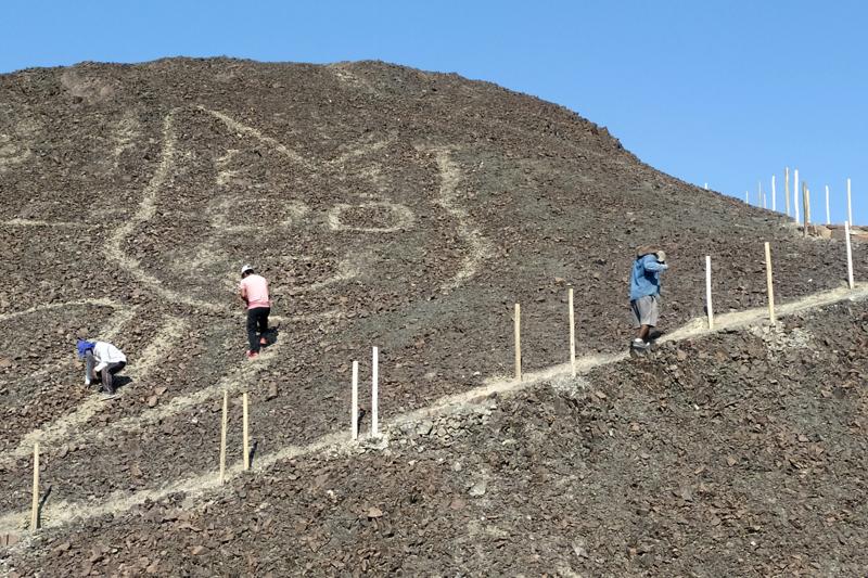 Perù linee di Nazca gatto Perù linee di Nazca gatto
