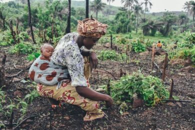 Disuguaglianza di genere, l’aratro in agricoltura all’origine del sessimo