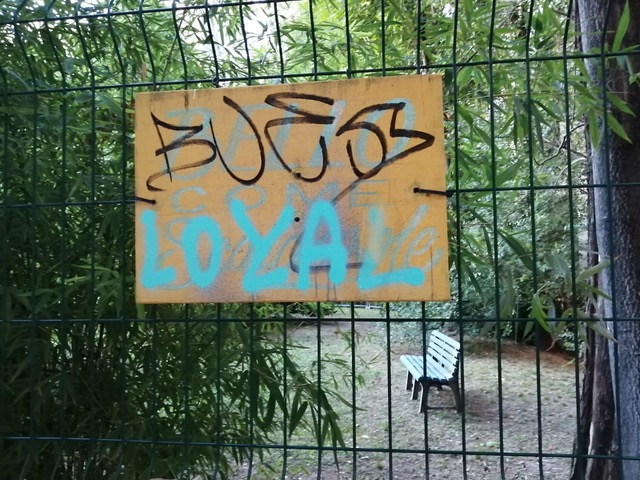 “Io la sentinella dei muri puliti contro i bulli dei graffiti” – VIDEO “Io la sentinella dei muri puliti contro i bulli dei graffiti” – VIDEO