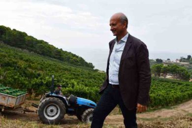 Vino, annata di straordinaria qualità per le tenute Frescobaldi in Toscana