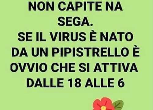 Le chiusure dopo le 18? Il virus è nato dal pippistrello. L’ironia della rete Le chiusure dopo le 18? Il virus è nato dal pippistrello. L’ironia della rete