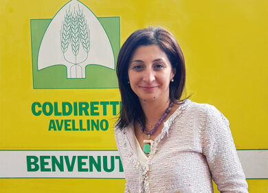 Il Mipaaf accoglie le modifiche per le tre Docg irpine, ora tocca all’Ue