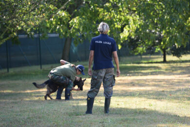 Aereoporto di Bologna e “cash dog”.  Trovati 300.000€ di soldi non dichiarati