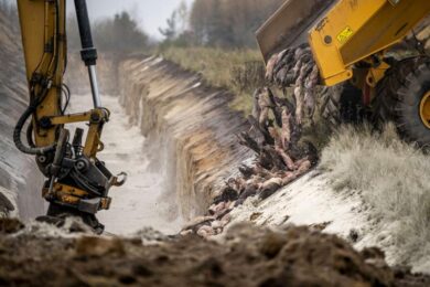 Covid, Greenpeace: Non solo visoni, dagli allevamenti il rischio di infezioni