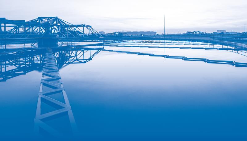 Energia, Eni sviluppa una tecnologia per la biofissazione della CO2 Energia, Eni sviluppa una tecnologia per la biofissazione della CO2
