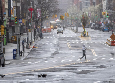 Coronavirus Stati Uniti, record di contagi: 143.231 casi in 24 ore