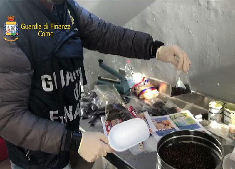 Milano, maxi sequestro di cibo etnico avariato tra solventi, vermi e insetti Milano, maxi sequestro di cibo etnico avariato tra solventi, vermi e insetti