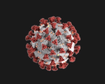 Galleria foto 'Coronavirus: si poteva evitare l’abisso? I clamorosi errori dietro la pandemia' - foto 1