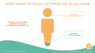 Yovis e il Fingerprint Batterico: l’equilibrio del microbiota per la salute
