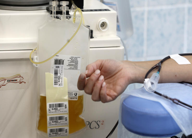 Plasma iperimmune, piano per boicottarlo: ostacoli, burocrazia, zero raccolta Plasma iperimmune, piano per boicottarlo: ostacoli, burocrazia, zero raccolta