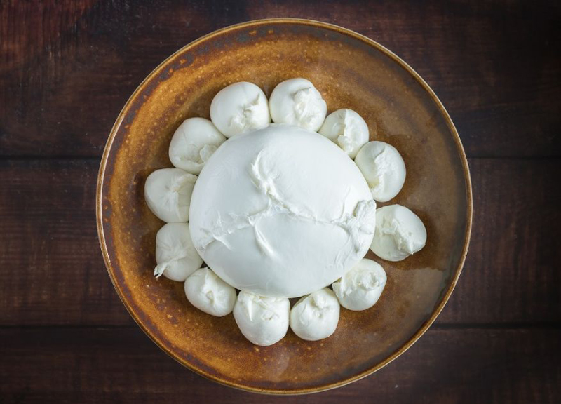 Bufala campana, la prima guida alla scoperta delle vie della mozzarella Dop Bufala campana, la prima guida alla scoperta delle vie della mozzarella Dop