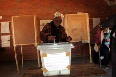 Adolf Hitler eletto… ma in Namibia. Ed è difensore dei diritti civili