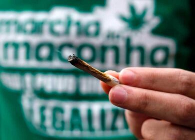Cannabis, in Italia un tesoro da 1,5 miliardi. Lo sviluppo frenato dalle leggi