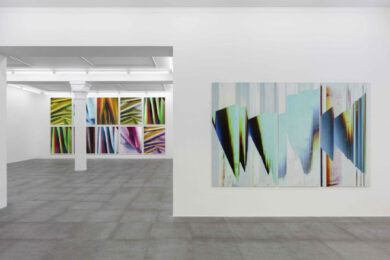 Eileen Quinlan “Down Dog” in mostra presso la galleria Vistamarestudio