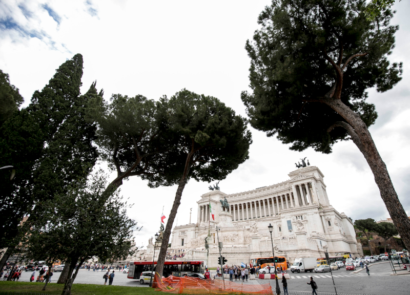Roma, un milione di pini a rischio: dall’Eur l’antidoto al parassita killer Roma, un milione di pini a rischio: dall’Eur l’antidoto al parassita killer