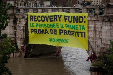 Greenpeace all’UE: ecco come le foreste potrebbero assorbire il doppio di CO2