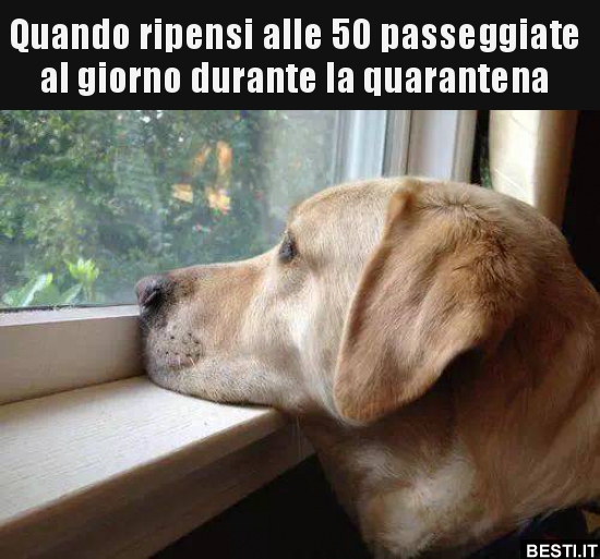 Coronavirus, ‘Buon Dpcm a te e famiglia”. Ironia del web in versione natalizia