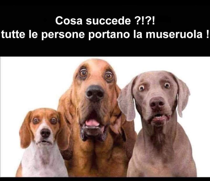 Coronavirus, ‘Buon Dpcm a te e famiglia”. Ironia del web in versione natalizia