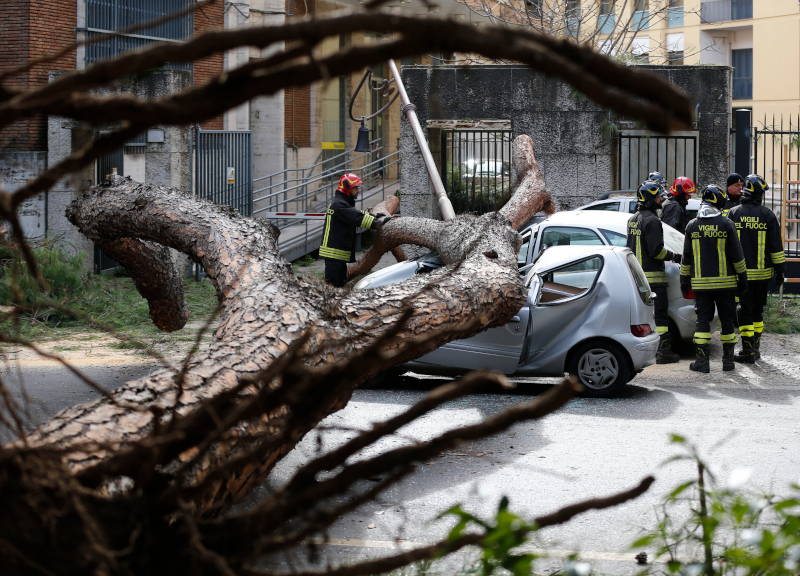 Cade un albero, ferito al braccio e alla testa un uomo di 61 anni al Flaminio Cade un albero, ferito al braccio e alla testa un uomo di 61 anni al Flaminio