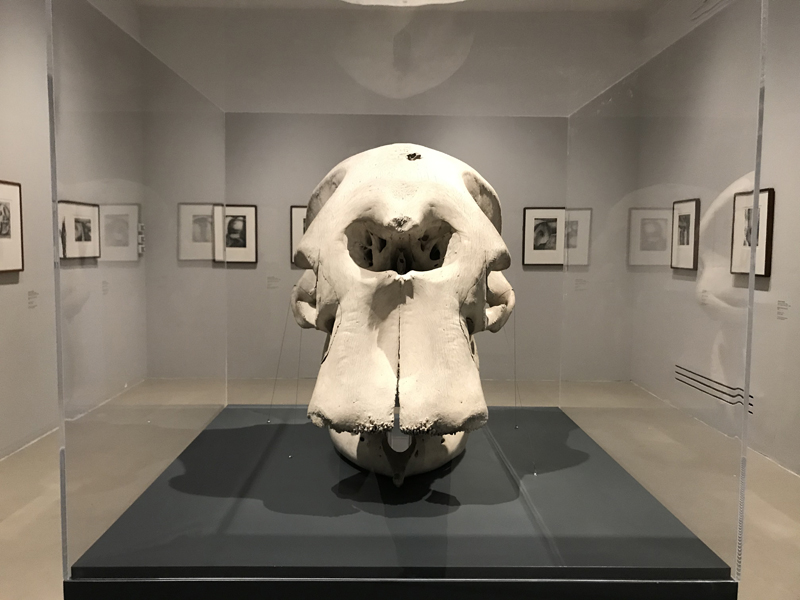 Henry Moore: al Museo Novecento disegni, grafiche, sculture del grande artista Henry Moore: al Museo Novecento disegni, grafiche, sculture del grande artista