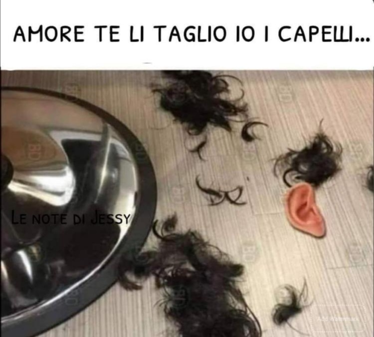 Coronavirus vissuto con ironia: Peppone e la Lombardia in zona rossa. Gallery