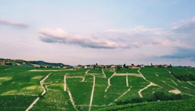 Asti e Moscato d’Asti Docg, cresce nel mondo ma perde in Italia