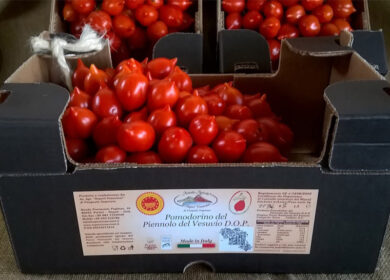 Agricoltura italiana è prima in Europa ma cala il valore aggiunto per il Covid