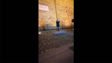 Tumulati in casa per il terrore del virus! J’accuse della poetessa Lidia Sella