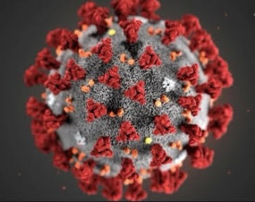 Covid, nasce il Consorzio italiano per studiare genetica virus