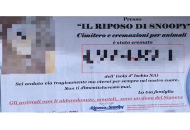 “Il riposo di Snoopy”, a Ischia un manifesto funebre per un cagnolino