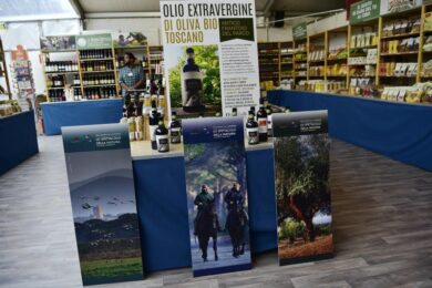 Giappone, olio evo toscano Igp tra i 28 prodotti agricoli di qualità protetti