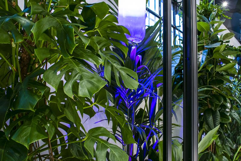 A Milano la prima Fabbrica dell’Aria: le piante depurano gli ambienti indoor A Milano la prima Fabbrica dell’Aria: le piante depurano gli ambienti indoor